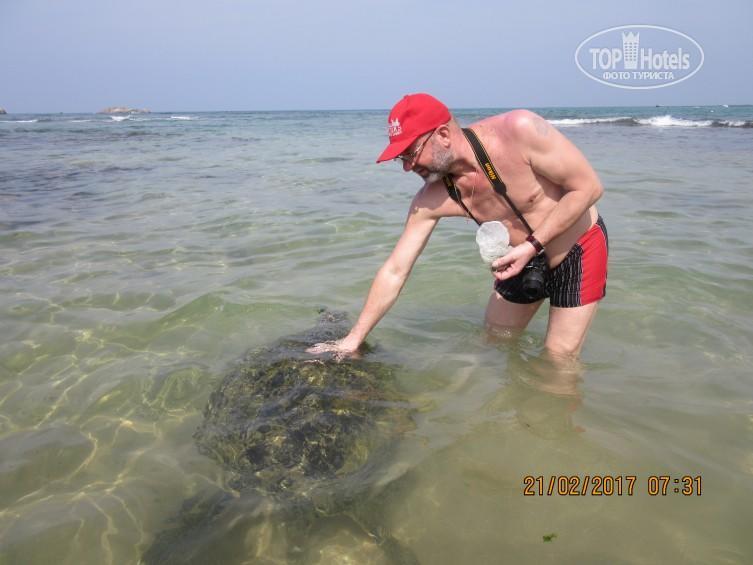 Ramon Beach Resort Ambalangoda  Eksteriør bilde